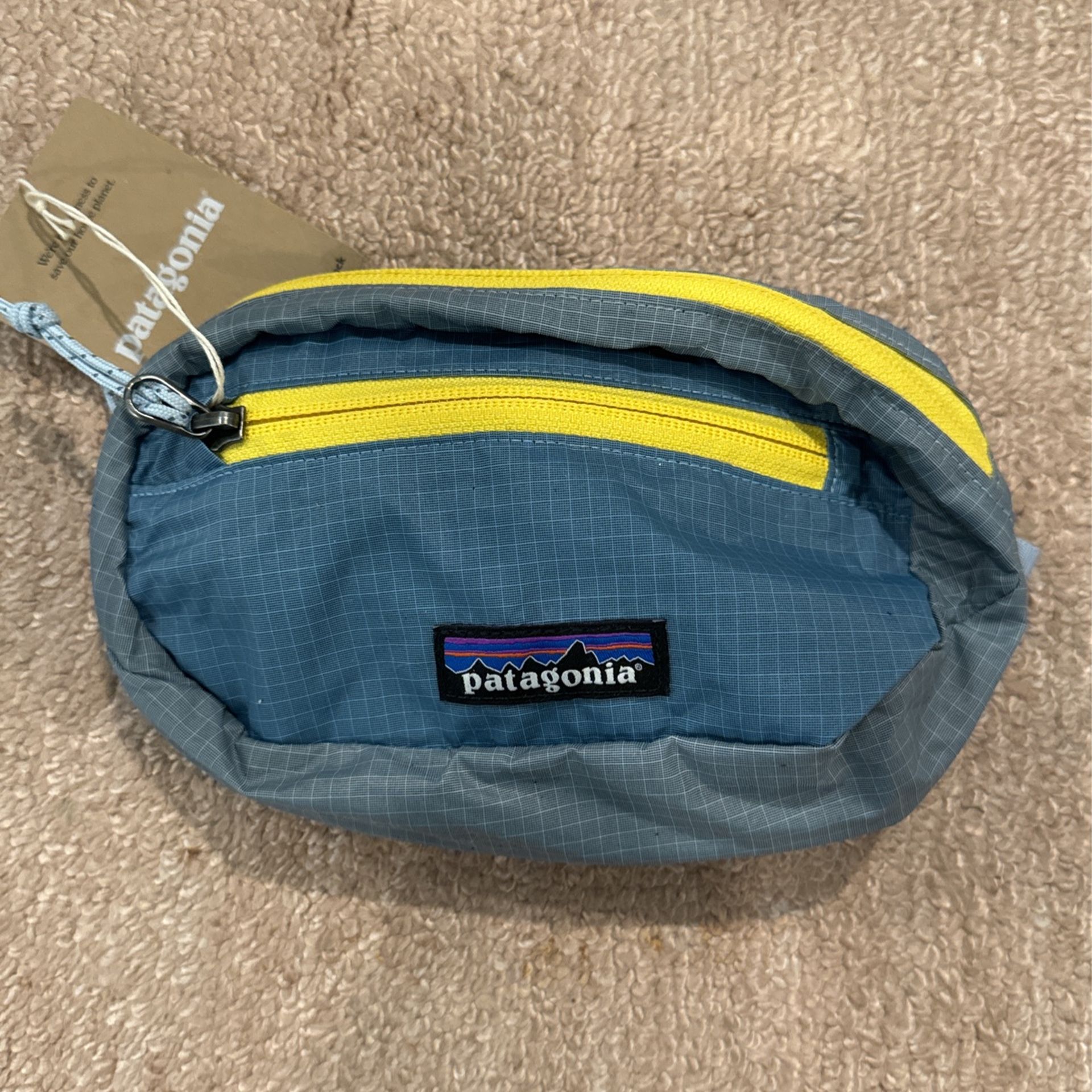 Patagonia Fanny Pack