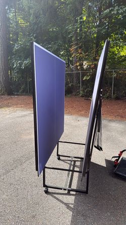 Free Ping Pong Table
