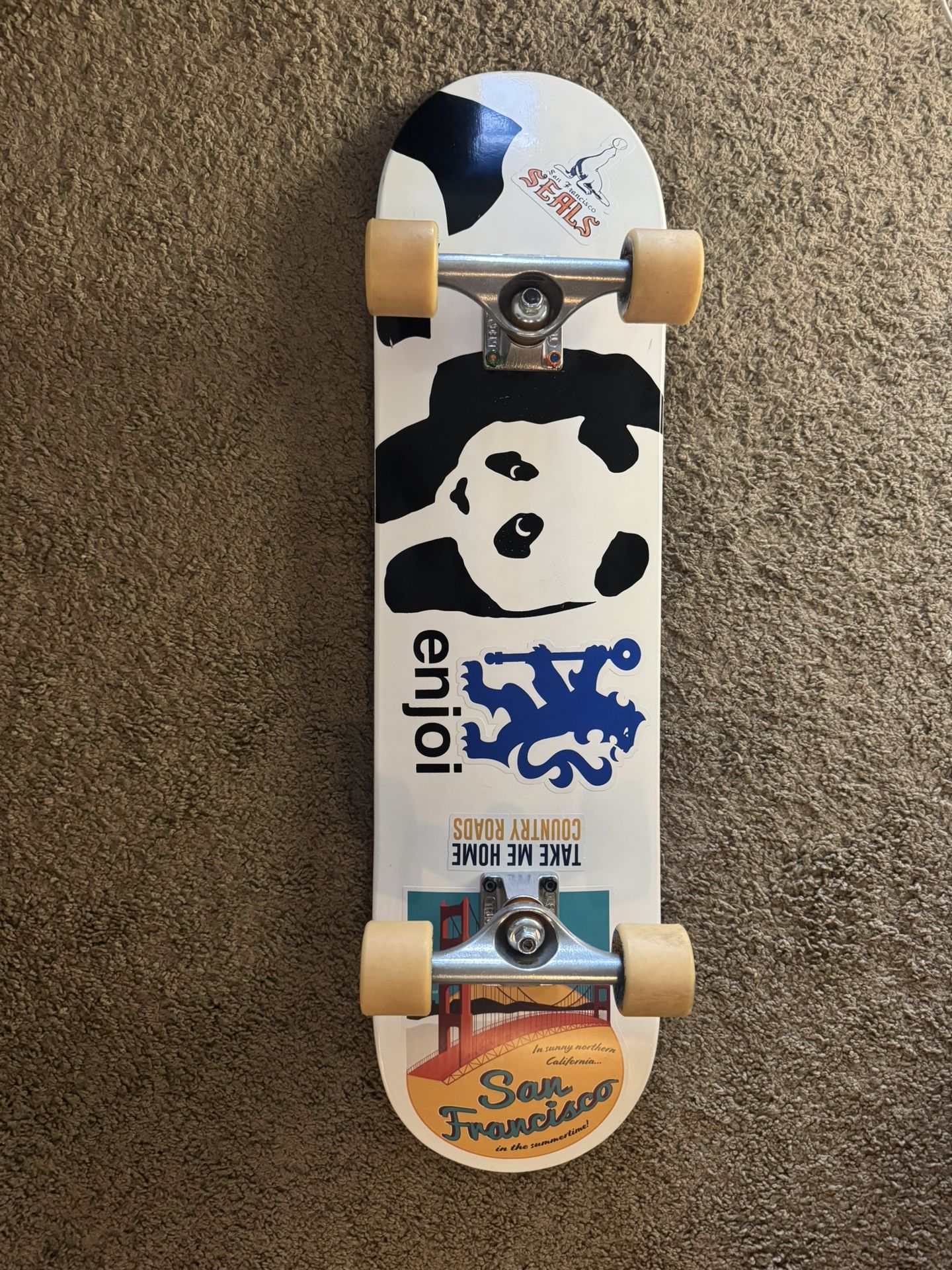 Enjoi Custom Complete Skateboard (Independent trucks, Super Juice Cruiser wheels, Bones Big Balls bearings)