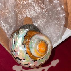 Handmade & Unique Shell Wine Bottle Stopper