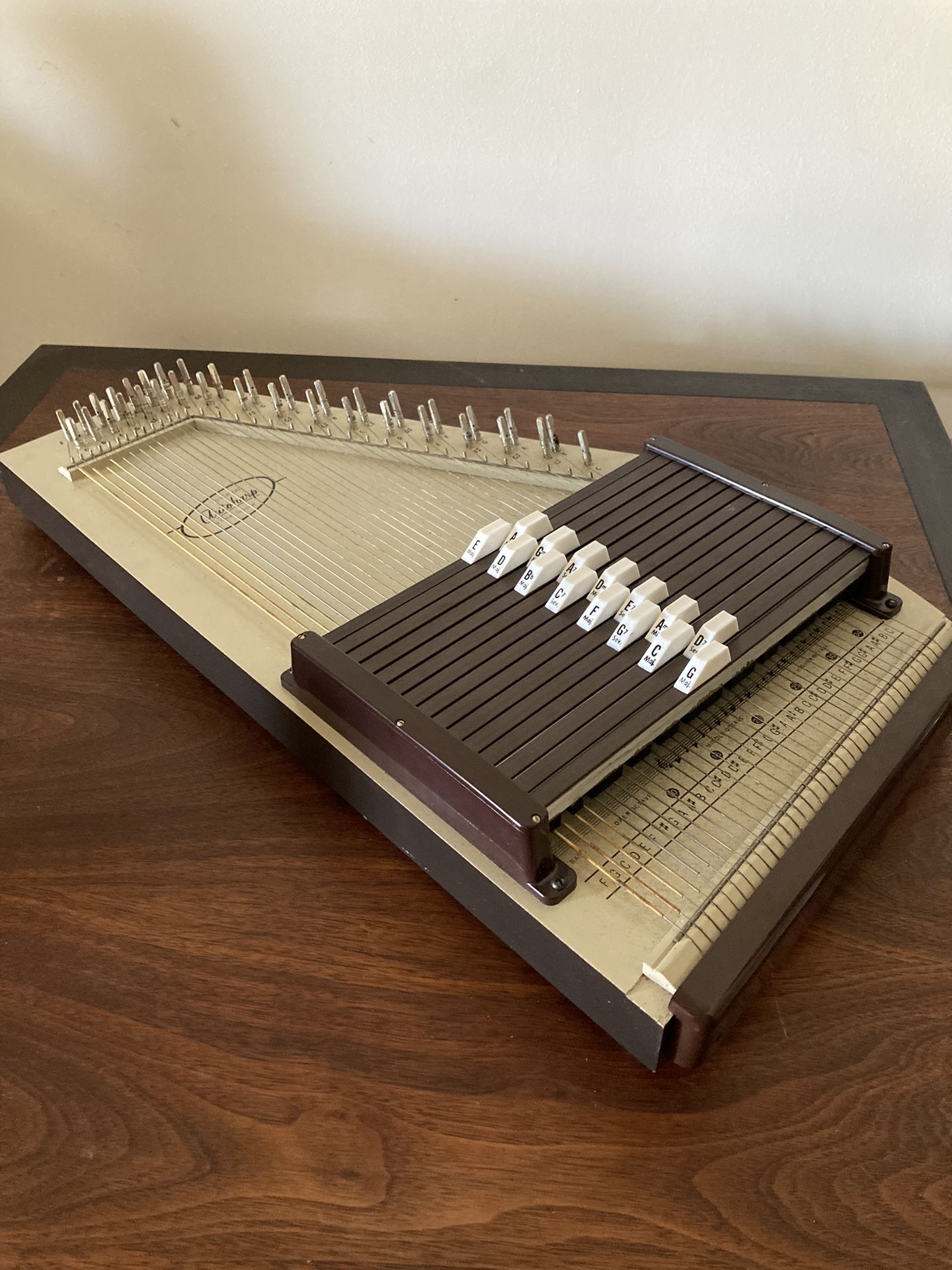 Vintage Autoharp 1960s | Stringed Instrument
