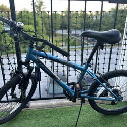 16 Inch Bicycle 