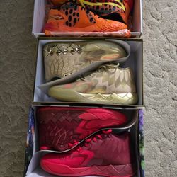 Pumas 