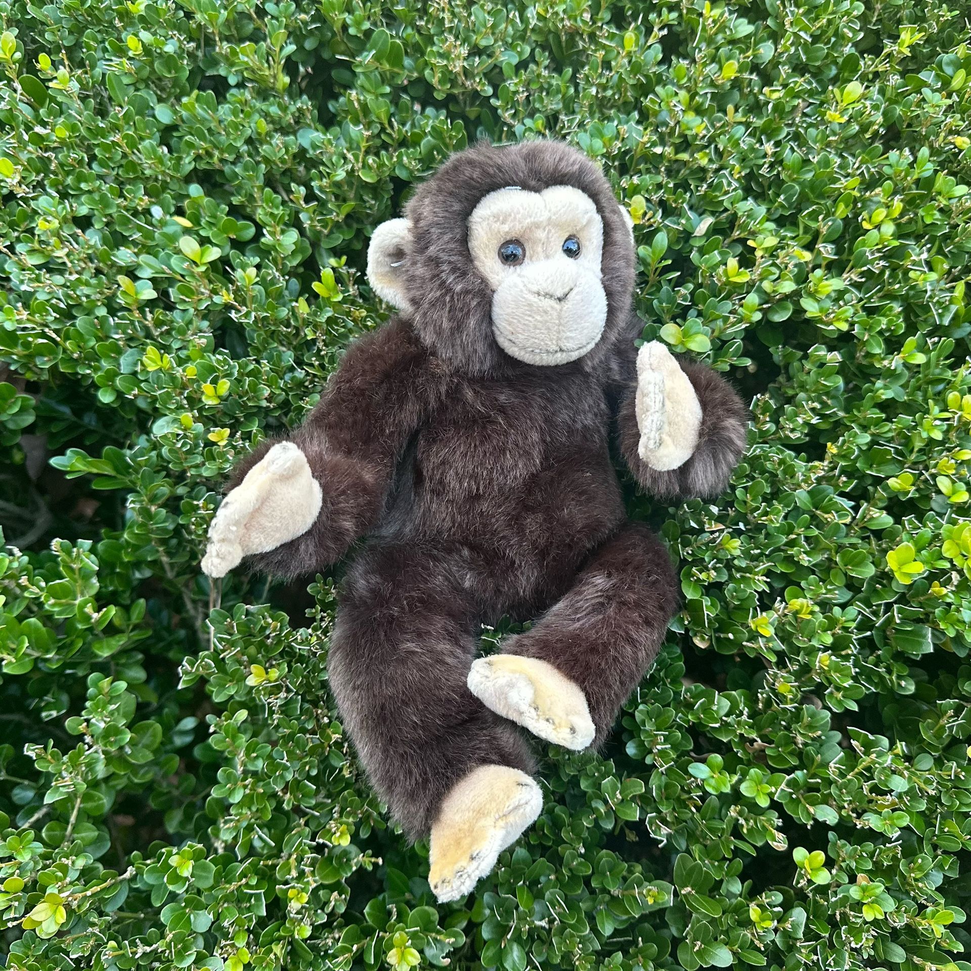 Ganz Webkinz 2007 Signature 11" Chimpanzee Stuffed Animal Plush WKSS2007