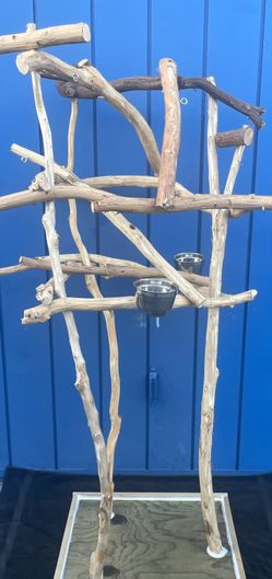 Macaw / Large Parrot Perch Tree … Lots Of Gnarly Macaw Fun … Breeder Direct Low Price … Yess We Deliver !!