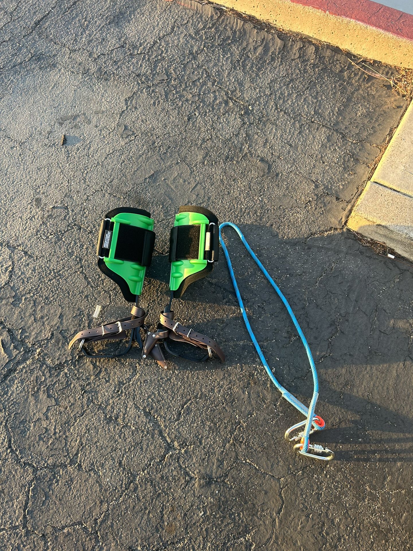 Tree Climbing Spikes