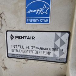 Pentair Set pumps and filersin
