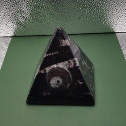 Pyramid Orthoceras With Ammonit Fossil 