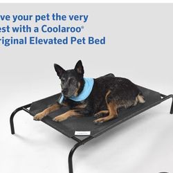 The Original Elevated Pet Bed 