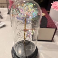 Beautiful Flower With Light