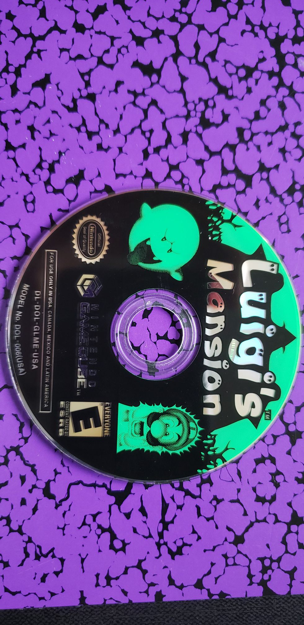 Luigi's Mansion (Gamecube disc only)