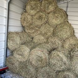 50-80 lbs mini round bales of second cut of hay   just cut and put up yesterday $7.  south west ohio ross/okeana ohio area