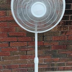 Fan