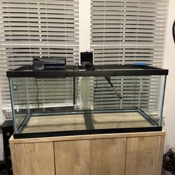 75 Gal Fish Tank