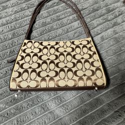 Coach Bag  Bundle (Both Bags)