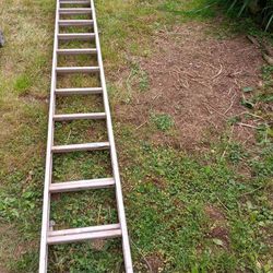 56ft Ladder