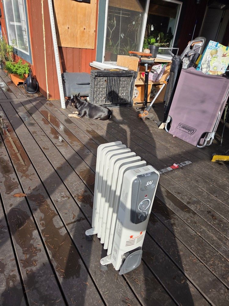Said Radiator Heater 