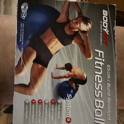 Boxfit exercise ball