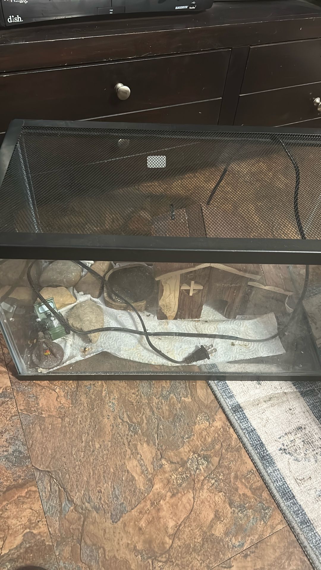 Reptile Tank
