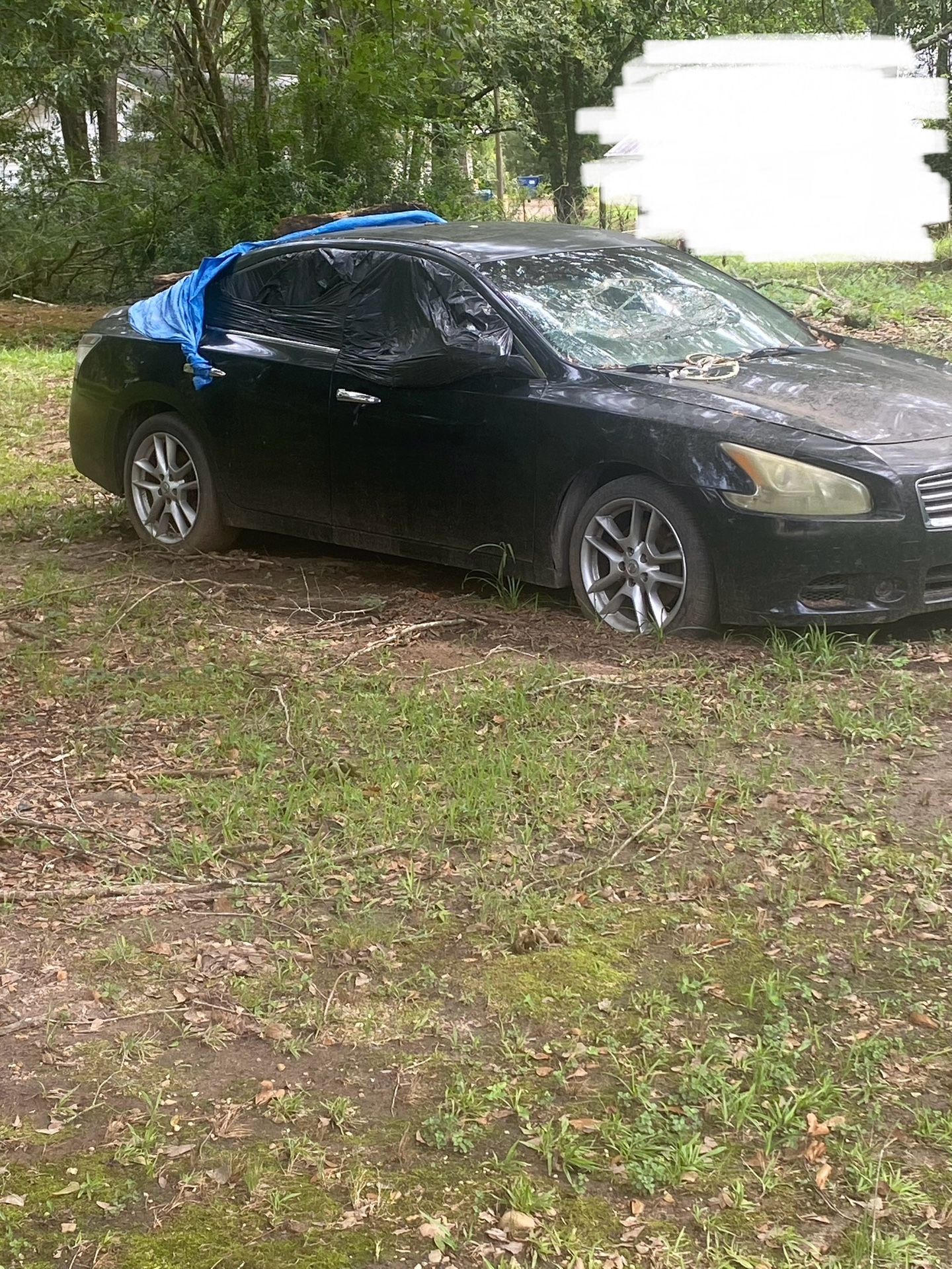 2014 Nissan Maxima