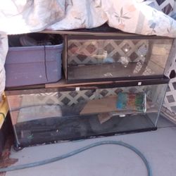 Fishtank And Turtle Tanks 