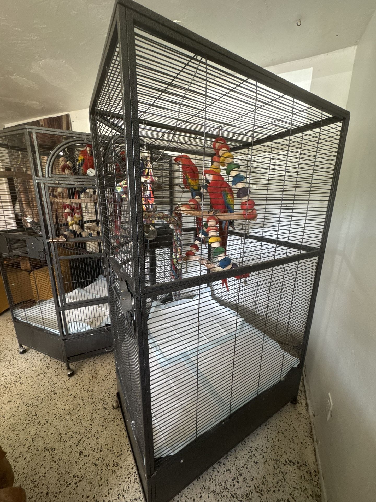 XL Cages 
