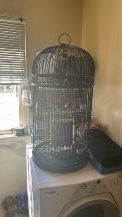 Bird animal cage