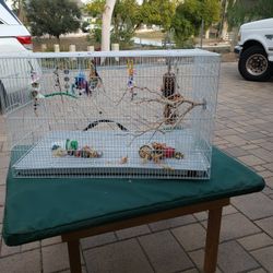 Bird Cage With Toys