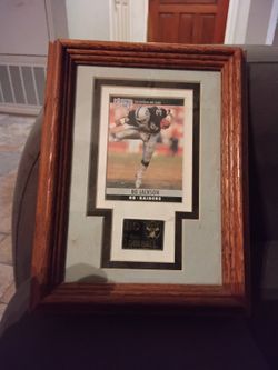 Bo Jackson