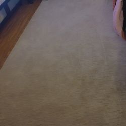 8/12 Plush Neutral Area Rug – Clean & Excellent Condition