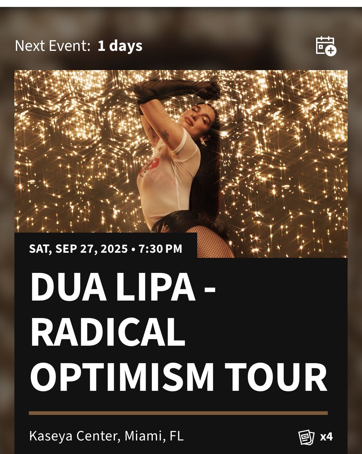 Dua Lipa In Miami Saturday Night