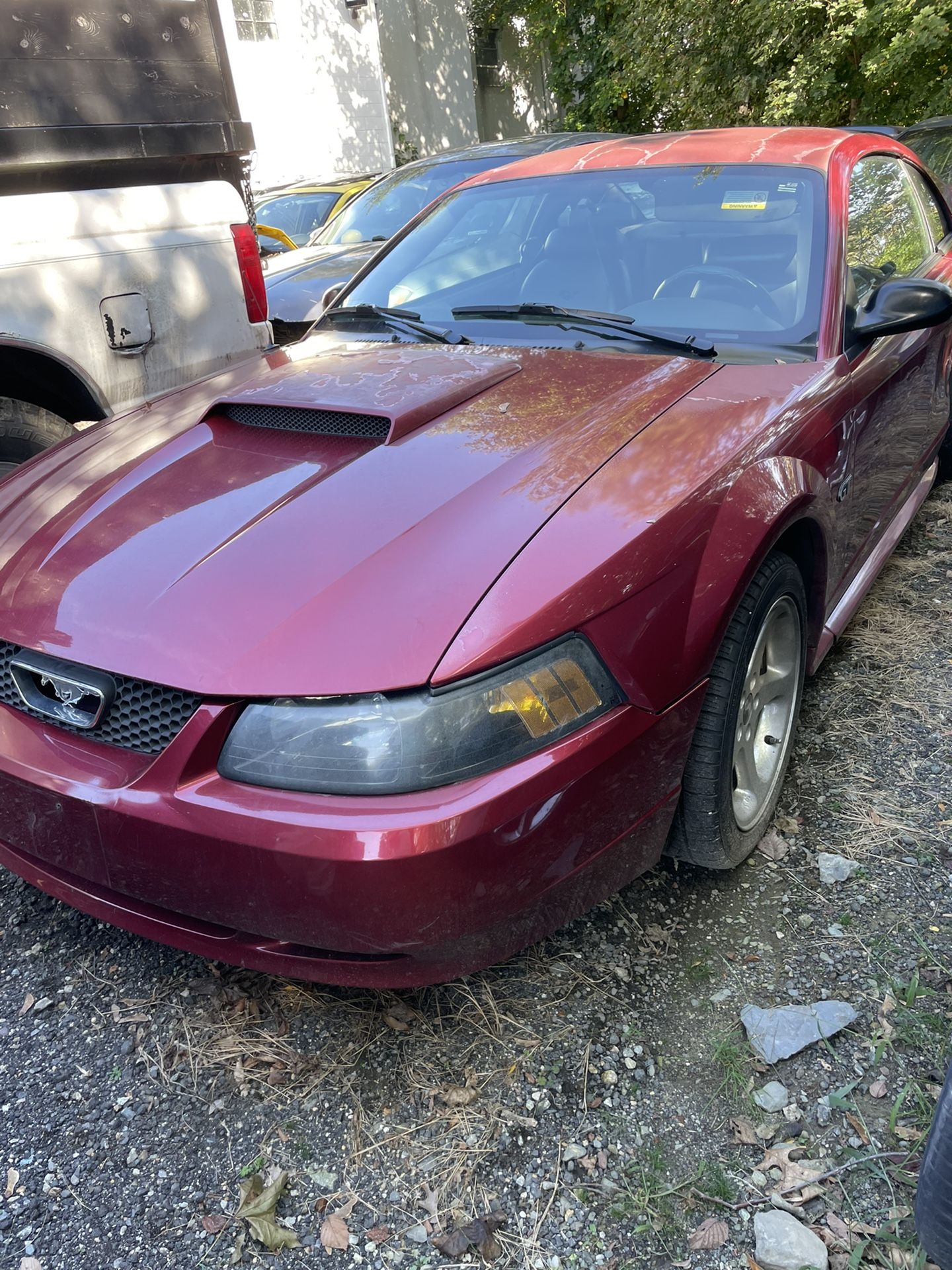 2003 Ford Mustang