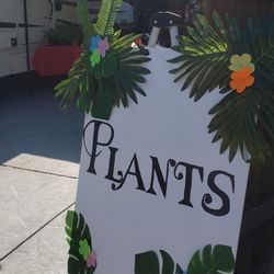 PLANTS FOR SALE 