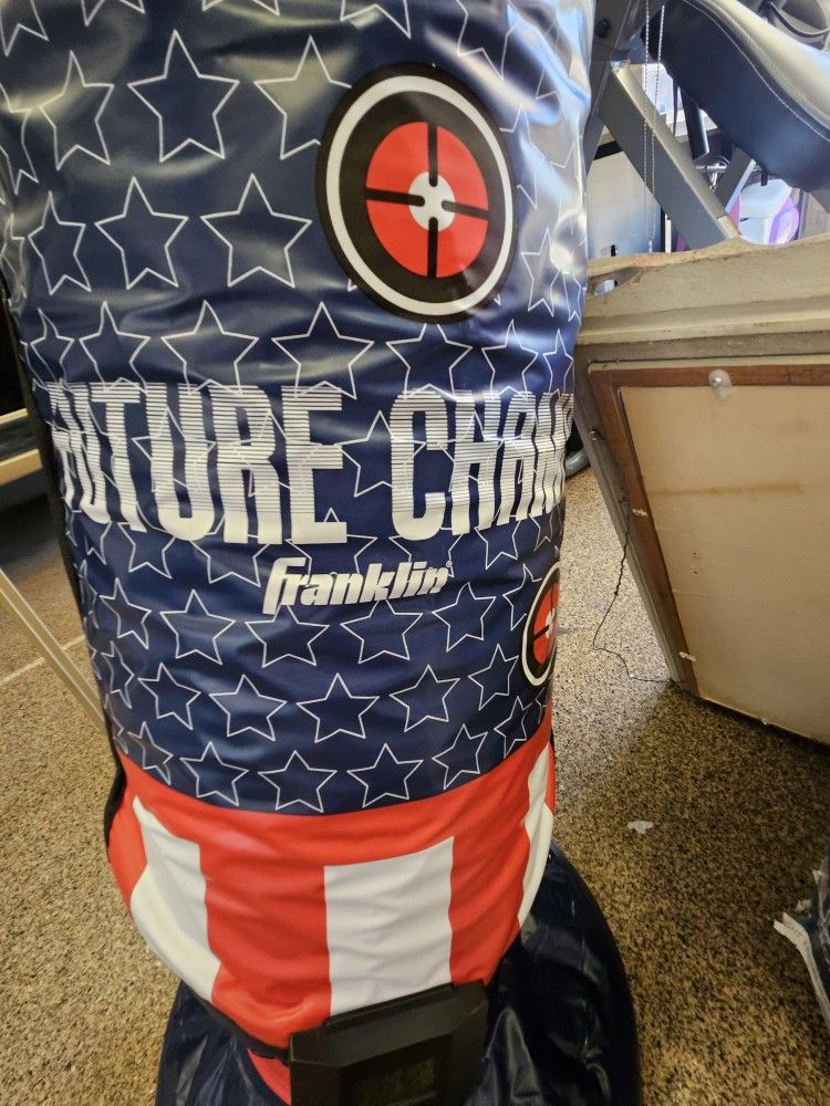 Franklin Sports Inflatable Electronic Kick/Boxing Bag - Future Champs - 60" x 22" & NSG Kids Gloves