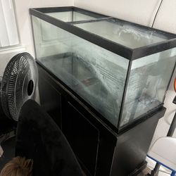 75 Gallon Fish Tank 