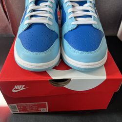 Nike Dunk Low Retro QS Argon