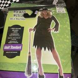 Adult Halloween Costumes 