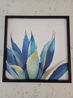 Agave Framed Picture
