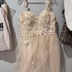 Quince Dress(Dama) Only Worn Once