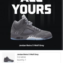 Nike Jordan Wolf Grey 5