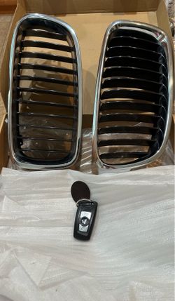 BMW Kidney Grille