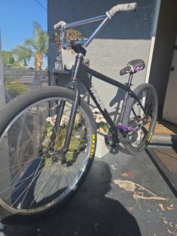 Throne 29er
