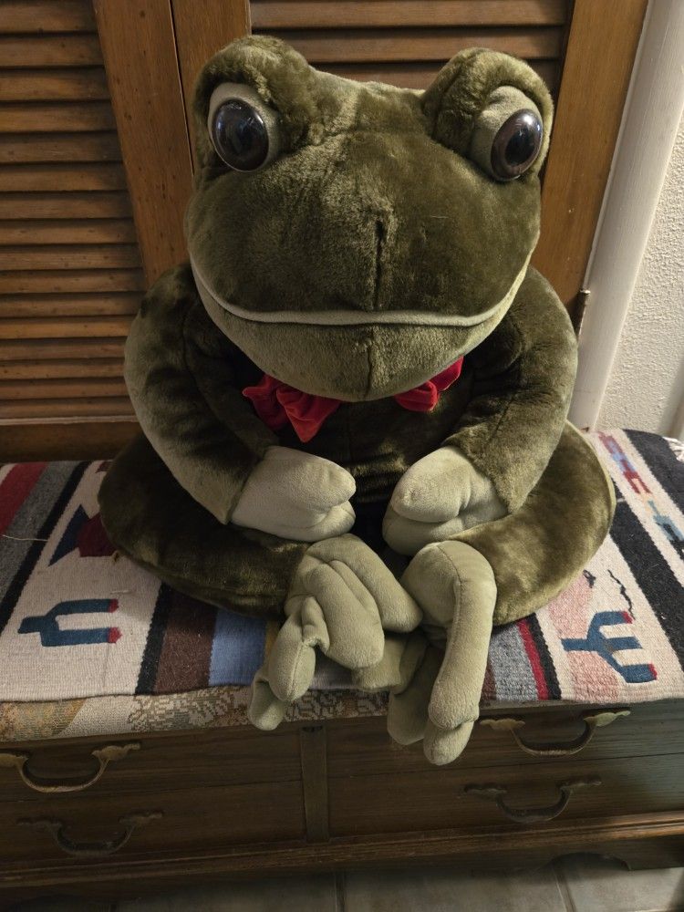 Stuffed Animal Frog
