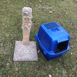 A Cat Tree And A Pet Carrier 