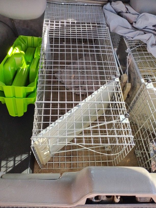 Two Newer Traps For Any Aller Animals