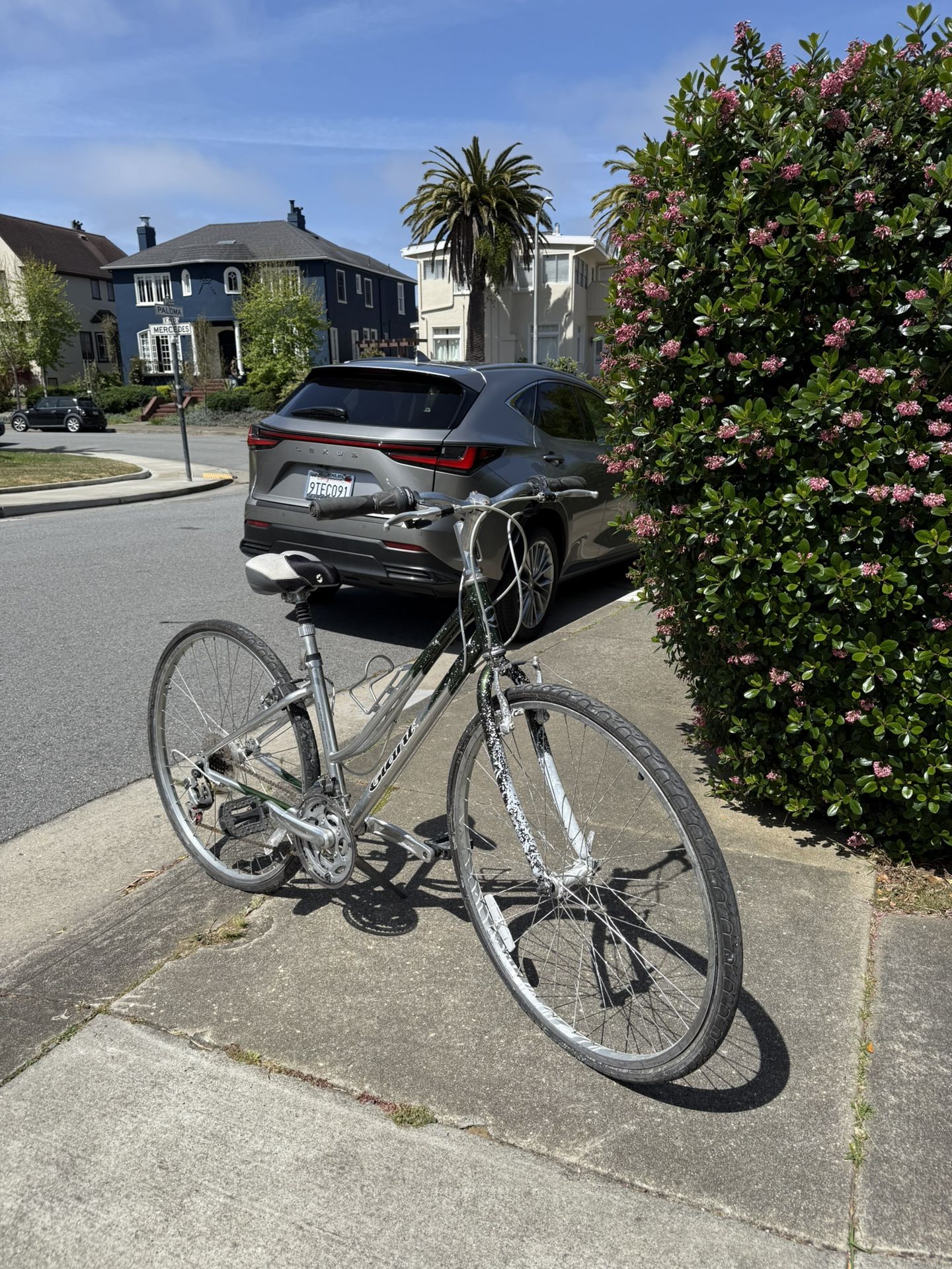 Giant Bike