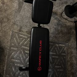 Exercise Bench