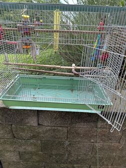 Bird Cage