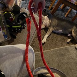 Rope Leash 