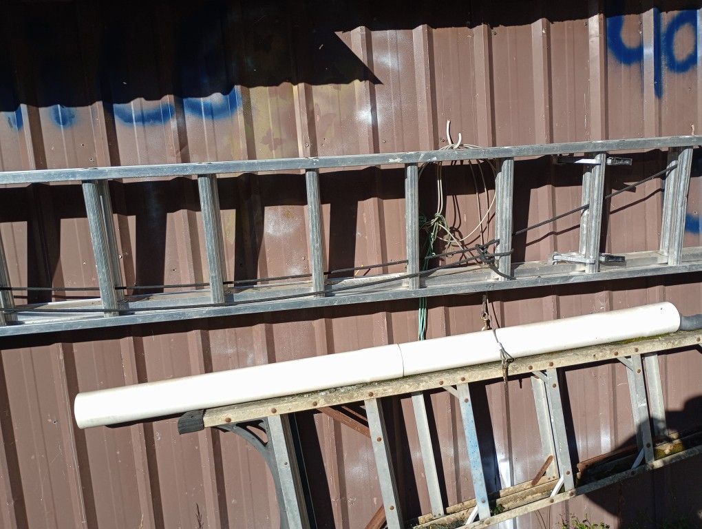 24 Ft Extension Ladder